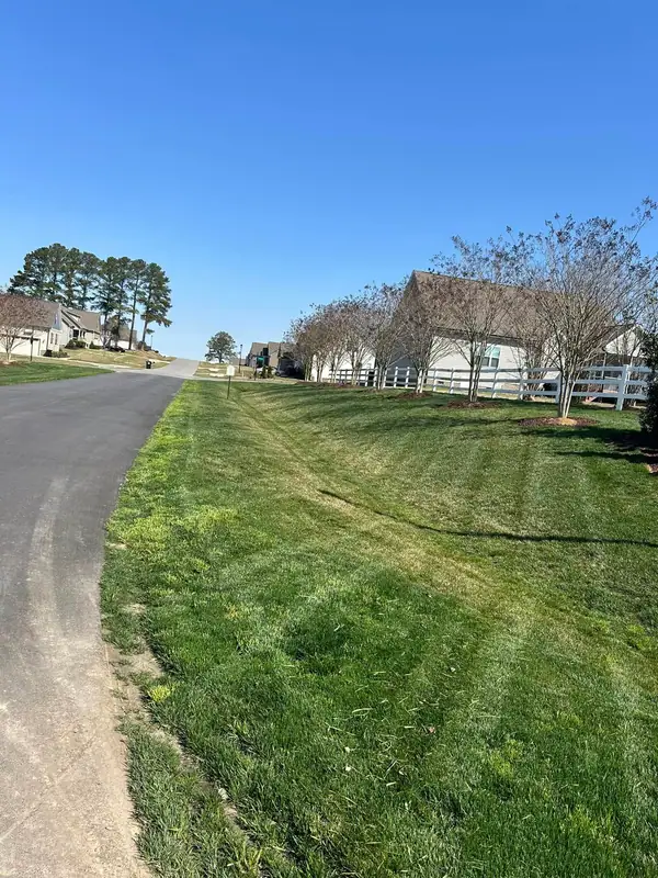 Striped, freshly mowed lawn beside a country drive